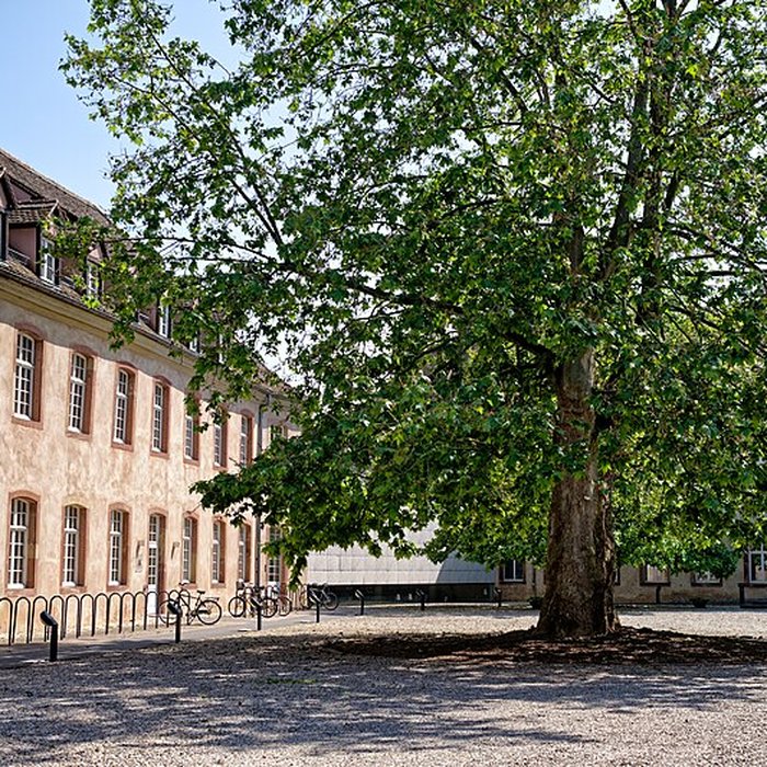 Photo de Commanderie Saint-Jean de Strasbourg