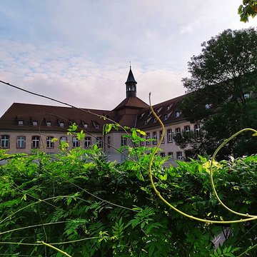 Commanderie Saint-Jean de Strasbourg