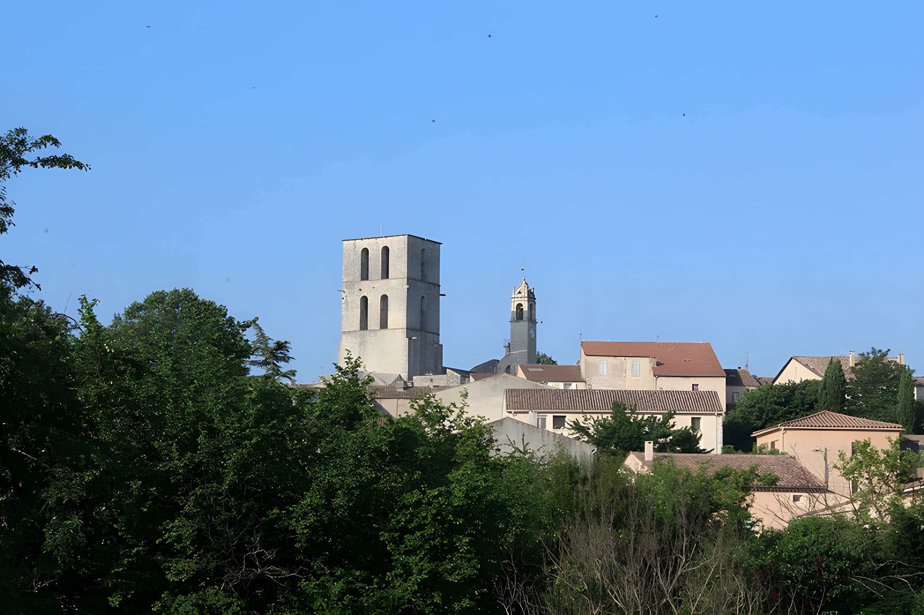 Concathédrale Notre-Dame-du-Bourguet de Forcalquier
