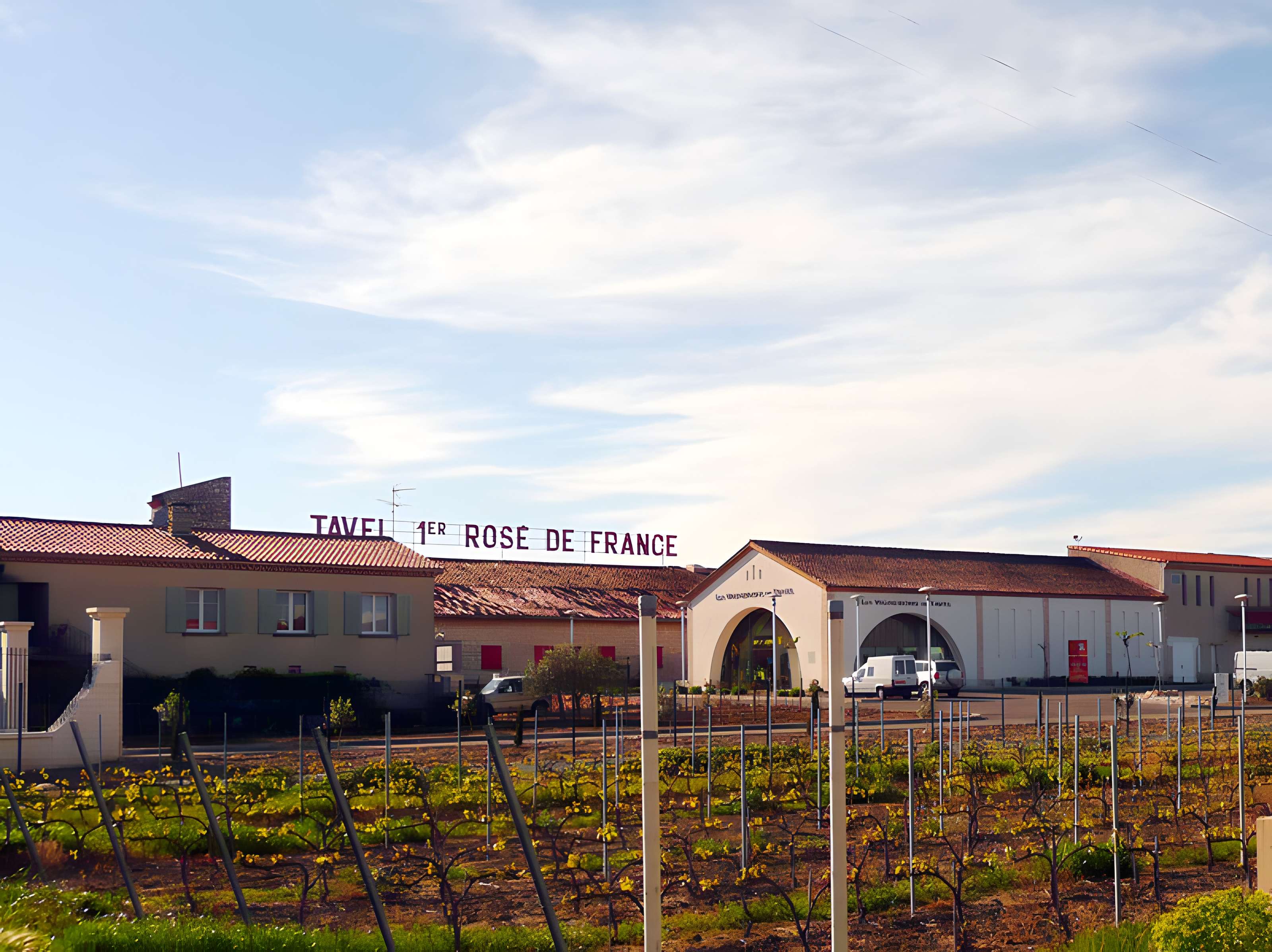 Cave coopérative de Tavel