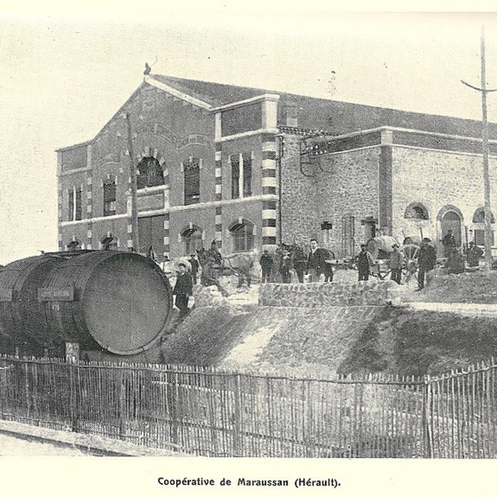 Photo de Cave coopérative Les Vignerons libres à Maraussan