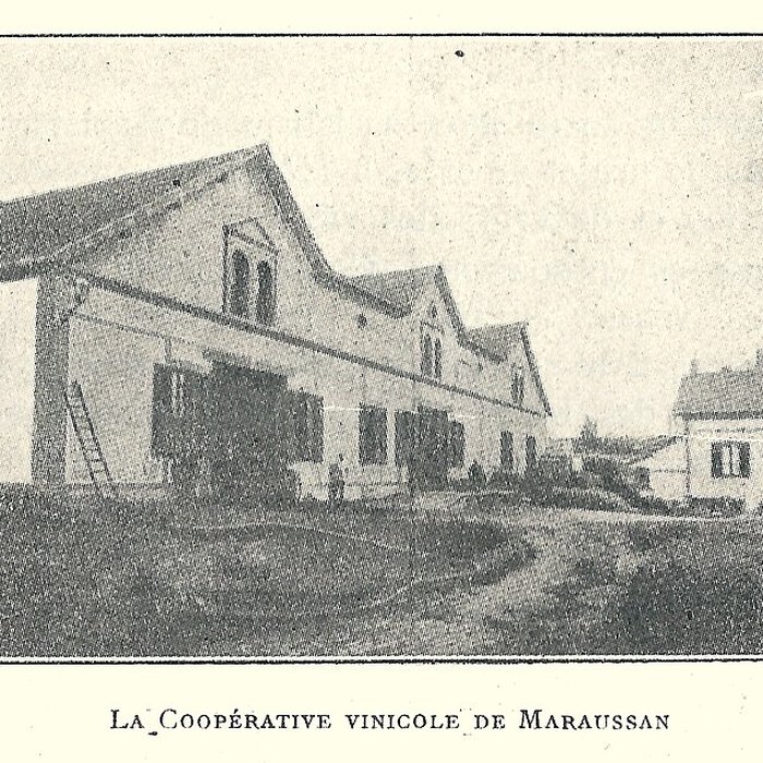 Photo de Cave coopérative Les Vignerons libres à Maraussan