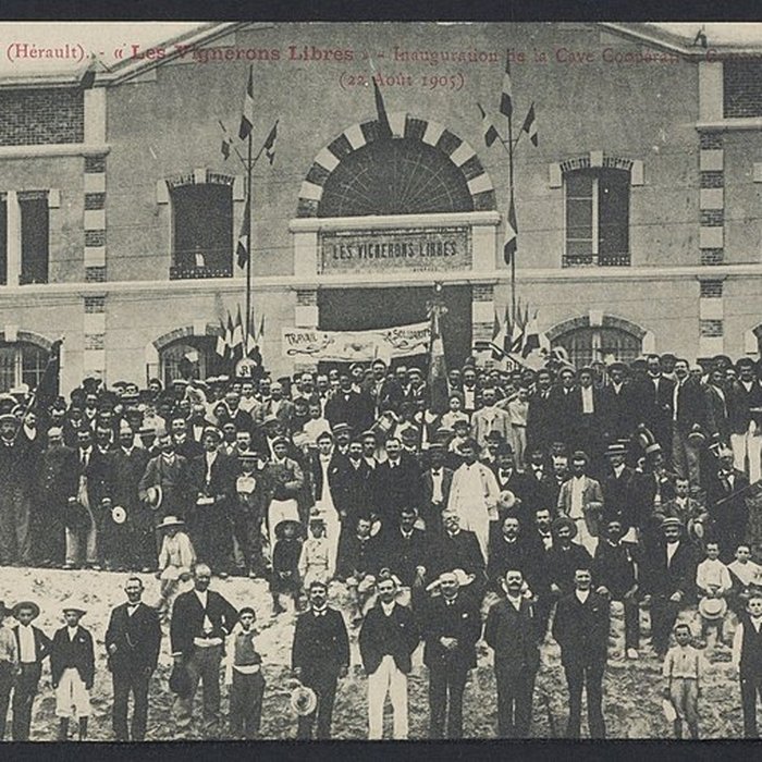 Photo de Cave coopérative Les Vignerons libres à Maraussan
