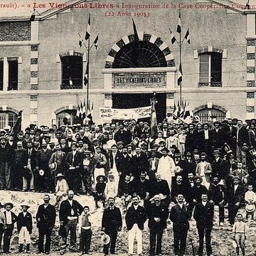 Cave coopérative Les Vignerons libres à Maraussan