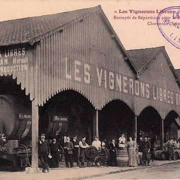 Cave coopérative Les Vignerons libres à Maraussan