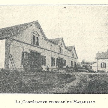 Cave coopérative Les Vignerons libres à Maraussan