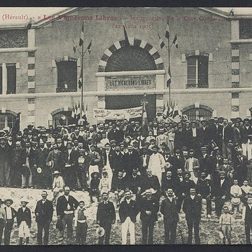 Cave coopérative Les Vignerons libres à Maraussan