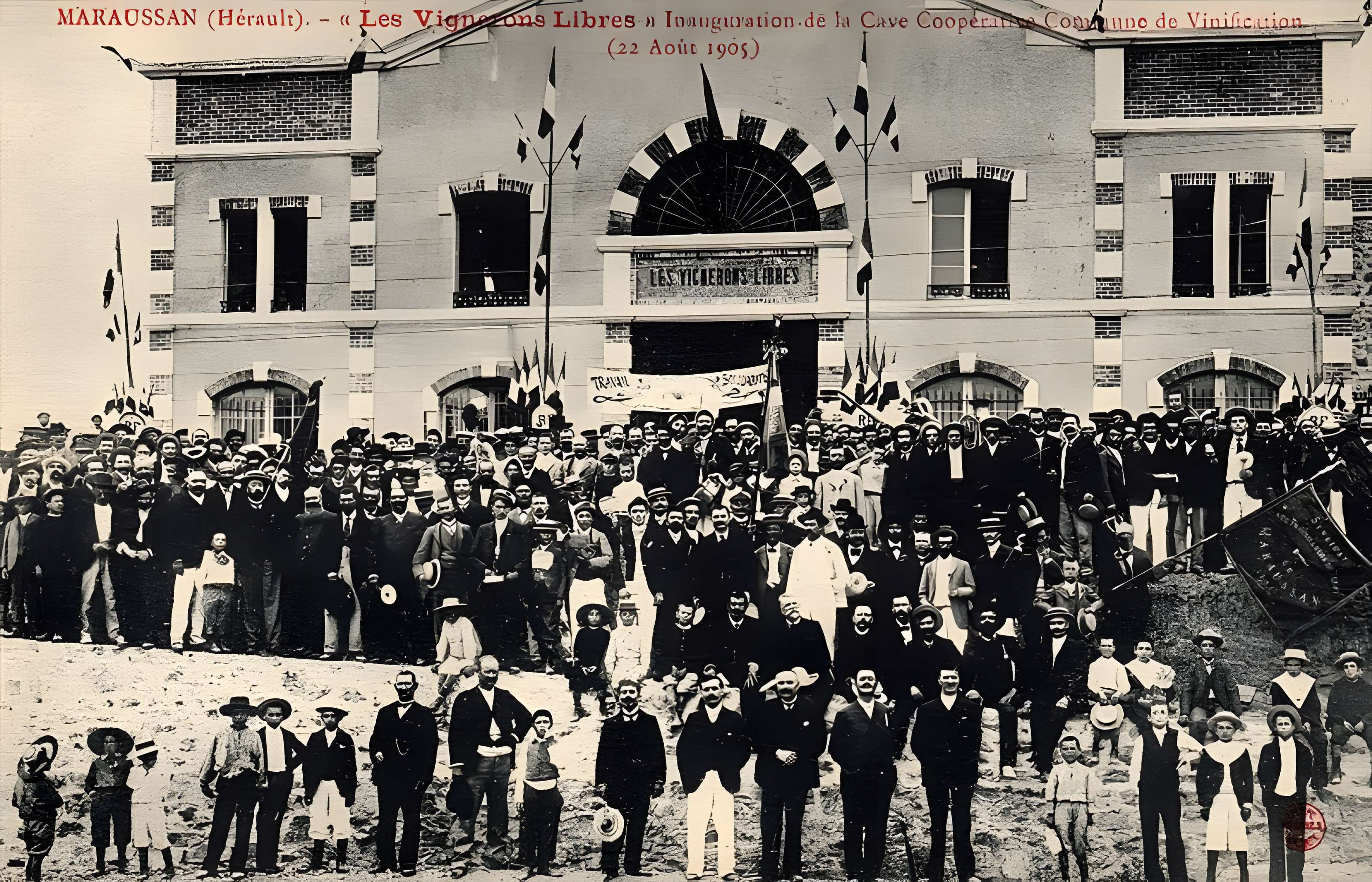 Cave coopérative Les Vignerons libres à Maraussan