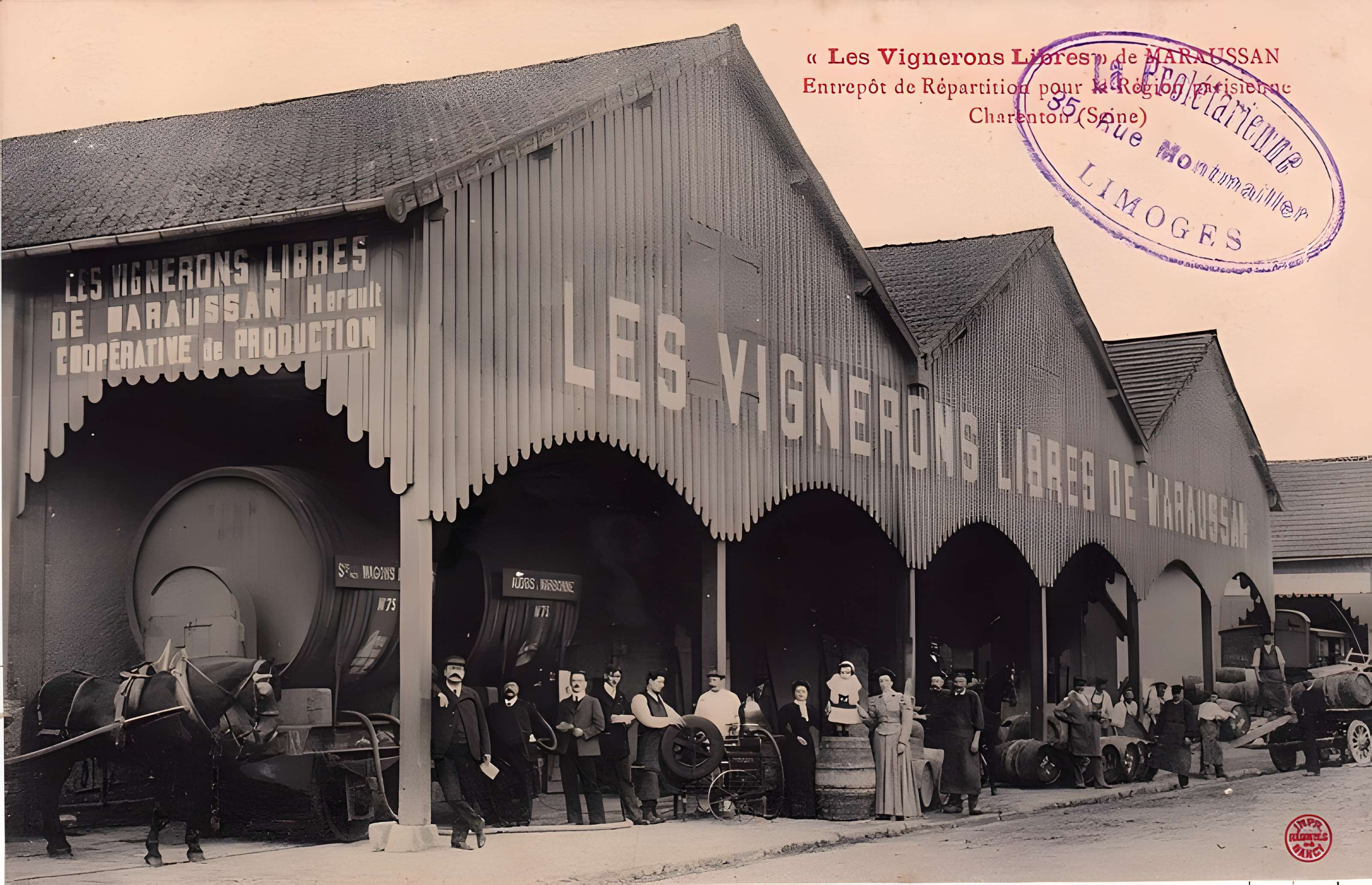 Cave coopérative Les Vignerons libres à Maraussan