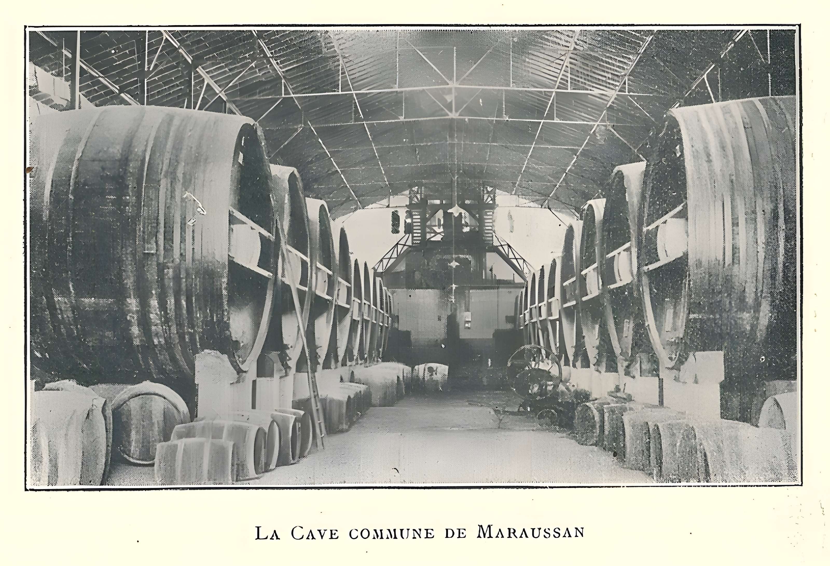 Cave coopérative Les Vignerons libres à Maraussan