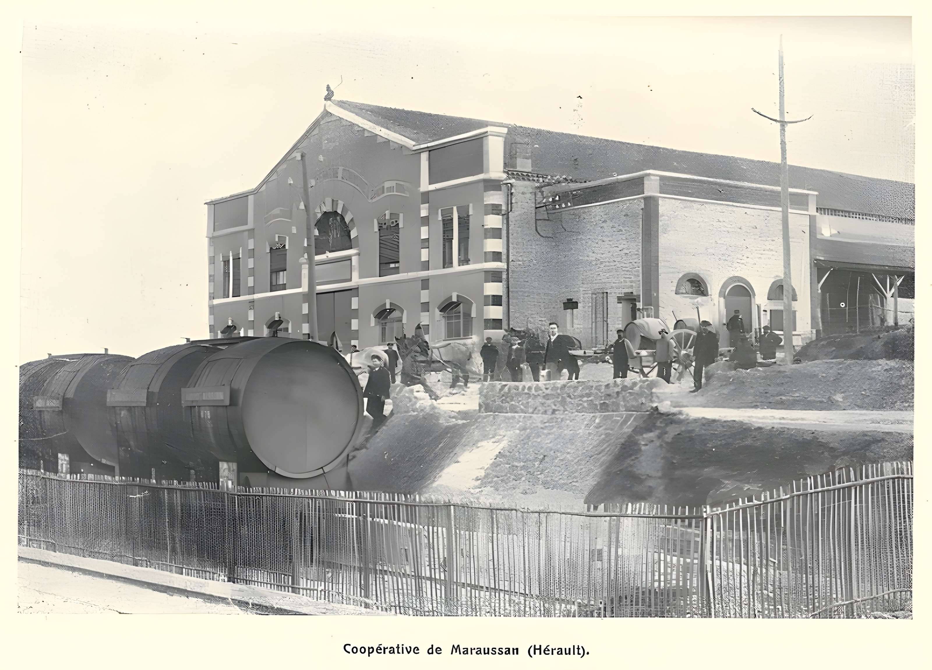 Cave coopérative Les Vignerons libres à Maraussan