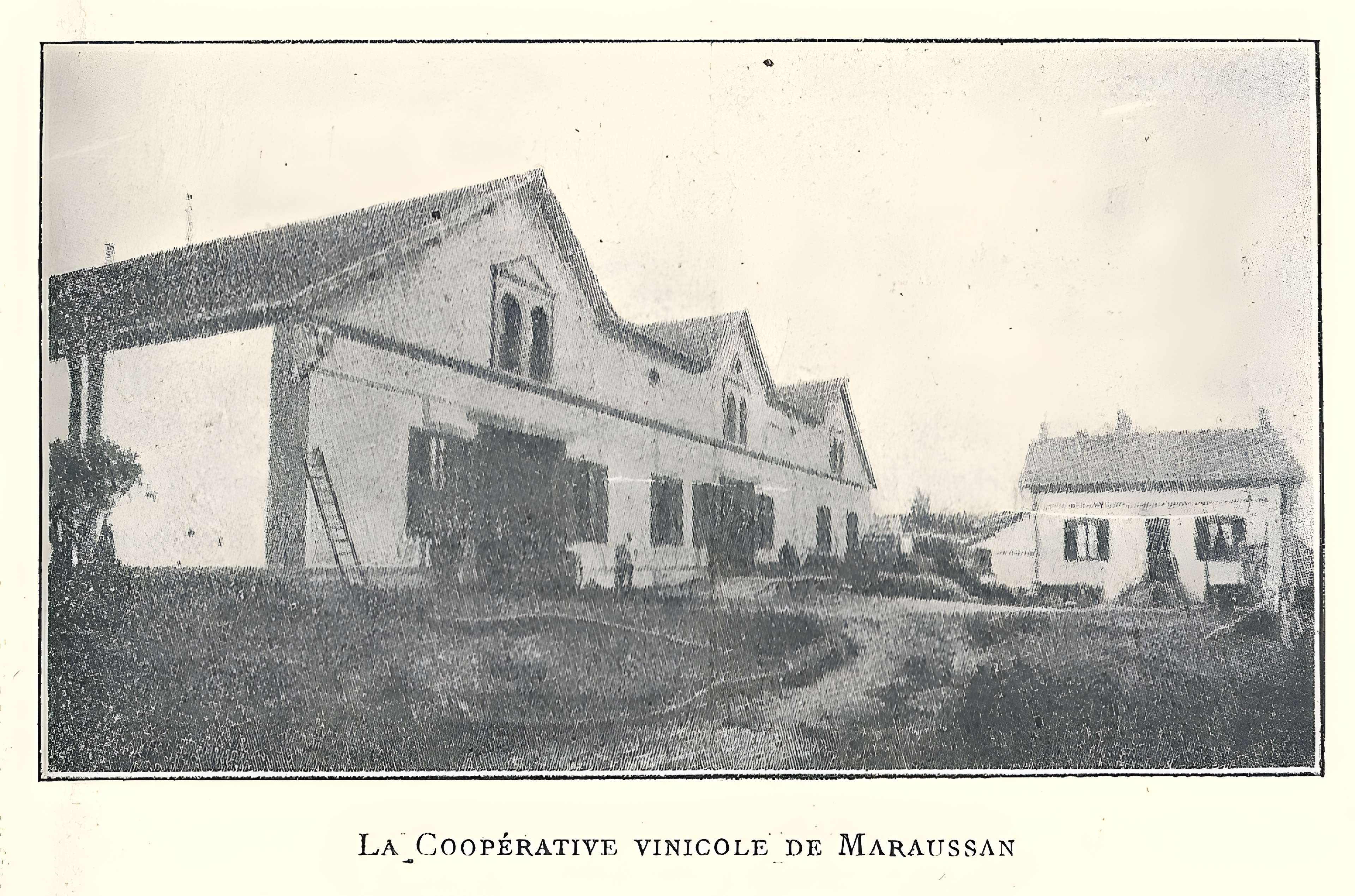 Cave coopérative Les Vignerons libres à Maraussan