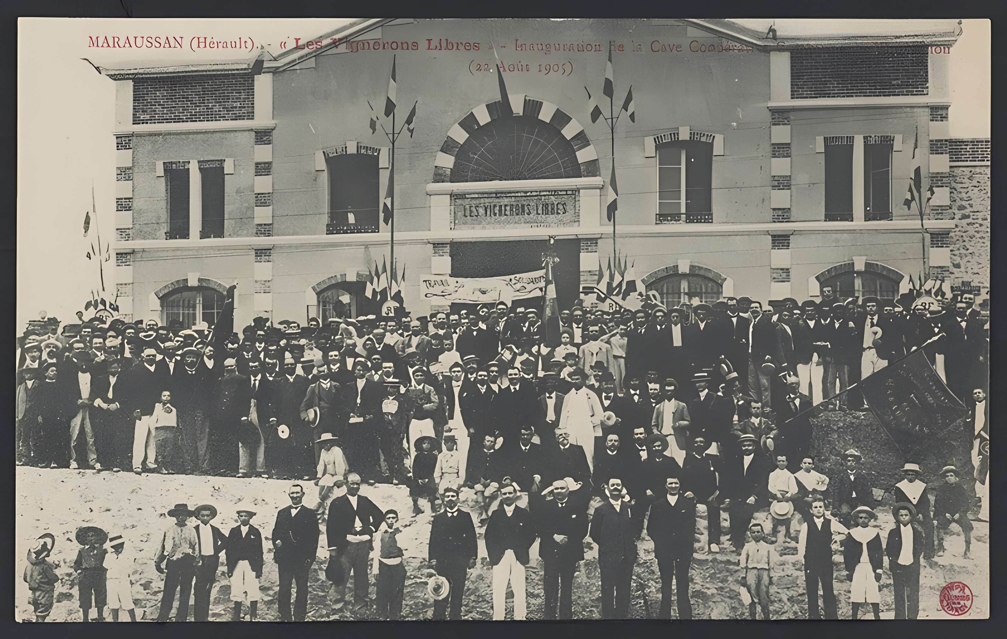 Cave coopérative Les Vignerons libres à Maraussan