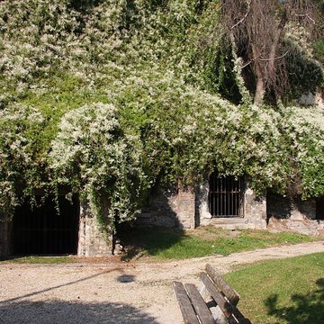 Caves Saint-Nicolas de Montereau-Fault-Yonne