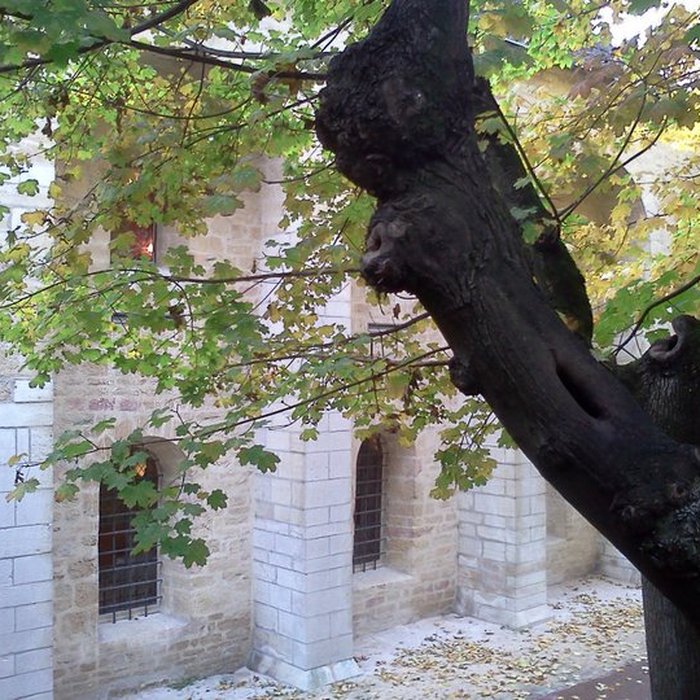 Photo de Cellier de labbaye de Clairvaux à Dijon