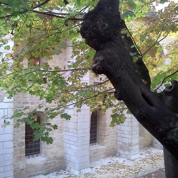 Cellier de labbaye de Clairvaux à Dijon