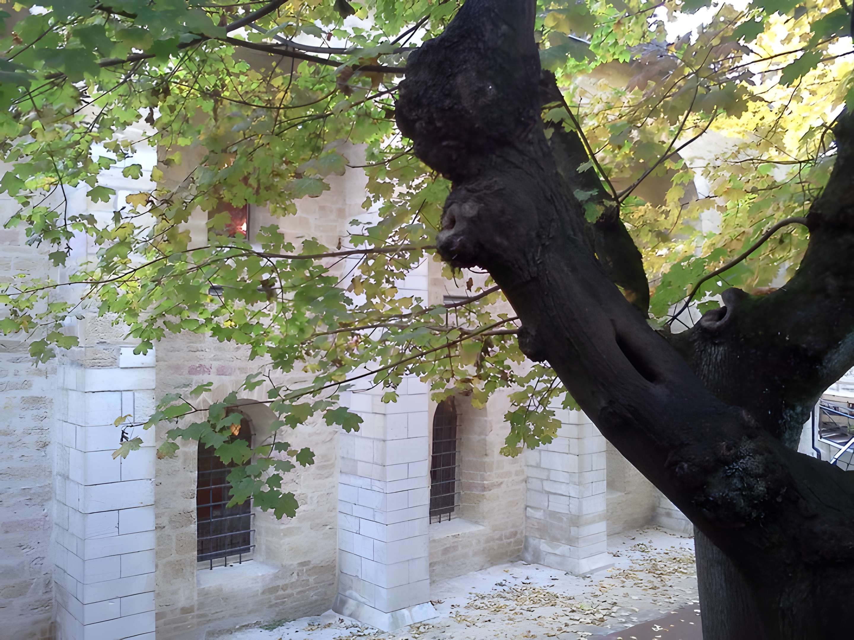 Cellier de l'abbaye de Clairvaux à Dijon