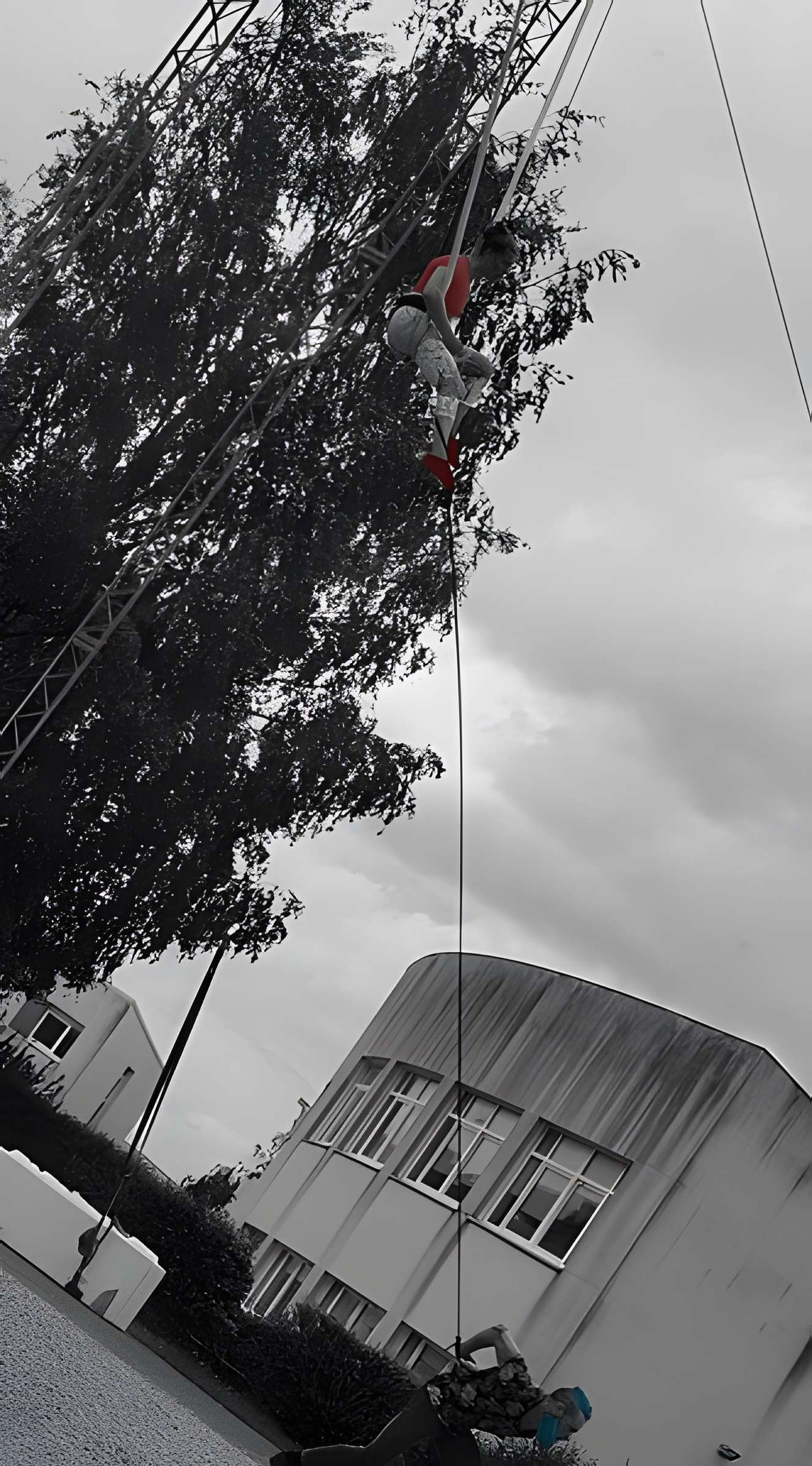 Centre national des arts du cirque de Châlons-en-Champagne