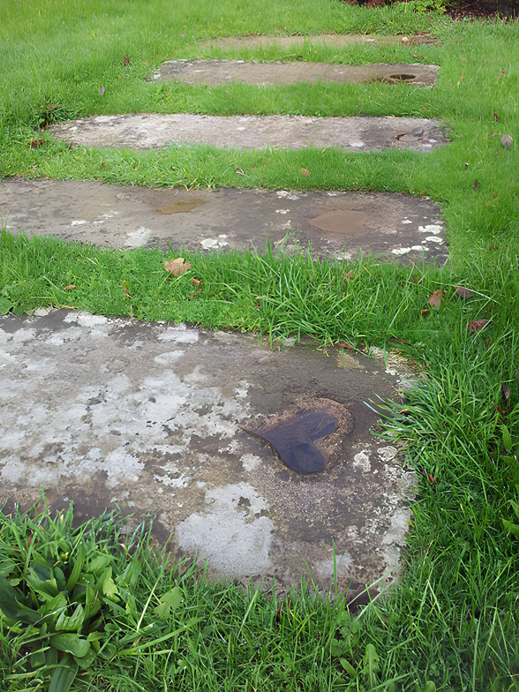 Chapelle Saint-Vellé de Gicqueleau