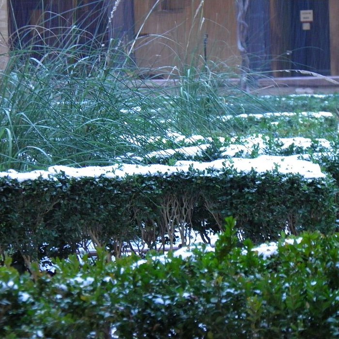 Photo de Couvent des Dominicains de Colmar