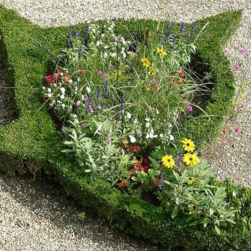 Couvent des Dominicains de Colmar