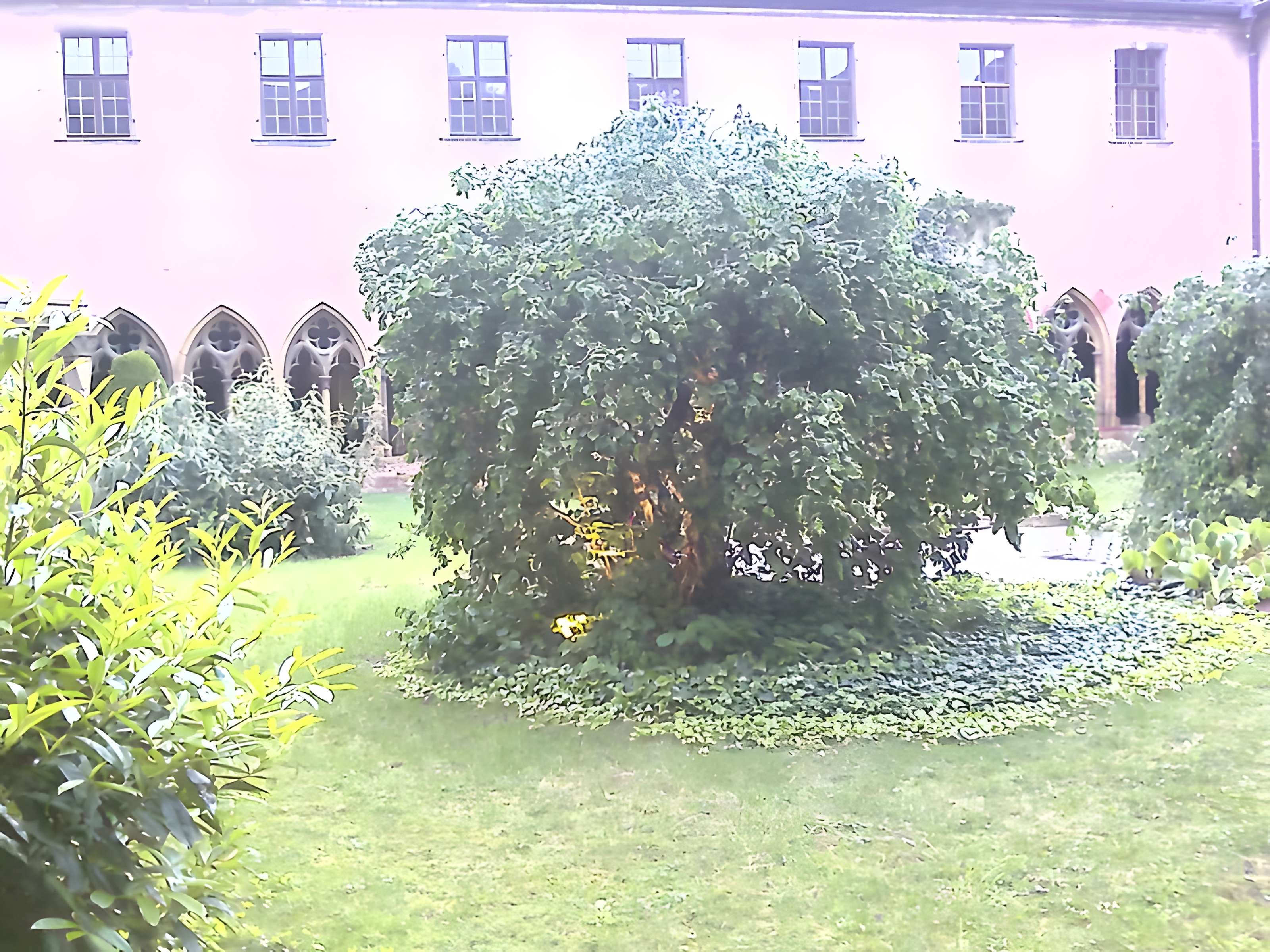 Couvent des Unterlinden