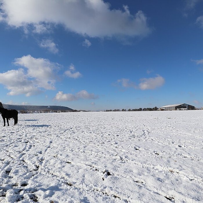 Photo de Chapelle Notre-Dame dÉtang à Velars-sur-Ouche