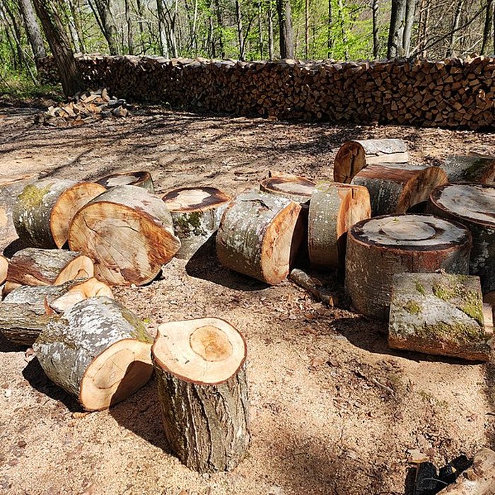 Photo de Chapelle Notre-Dame dÉtang à Velars-sur-Ouche