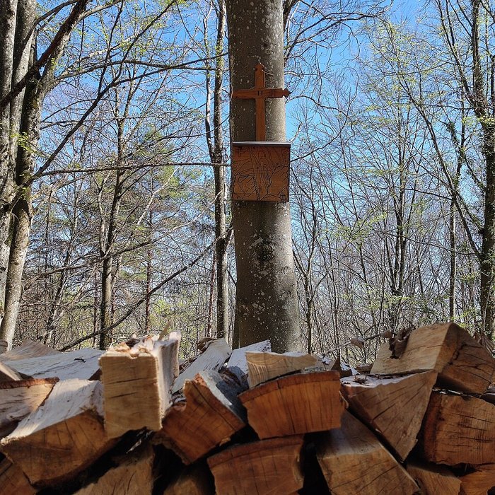 Photo de Chapelle Notre-Dame dÉtang à Velars-sur-Ouche