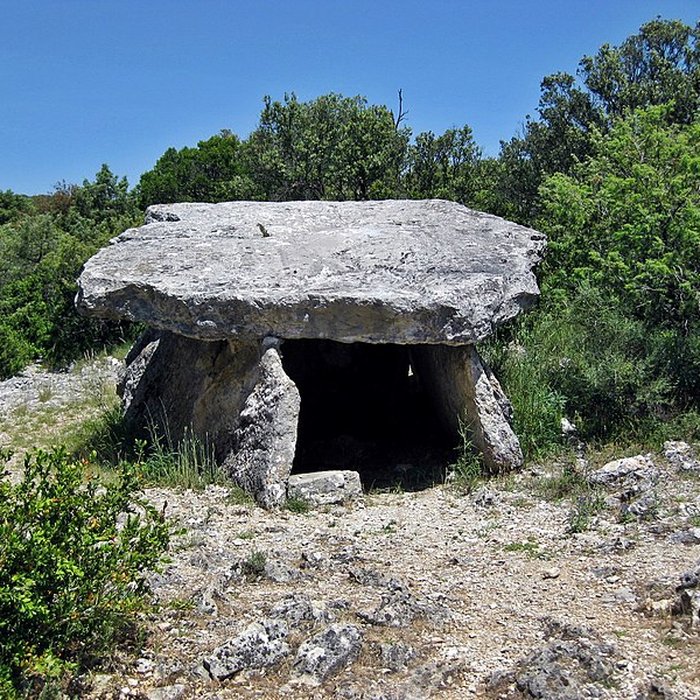 Photo de Dolmen de Champvermeil à Bidon