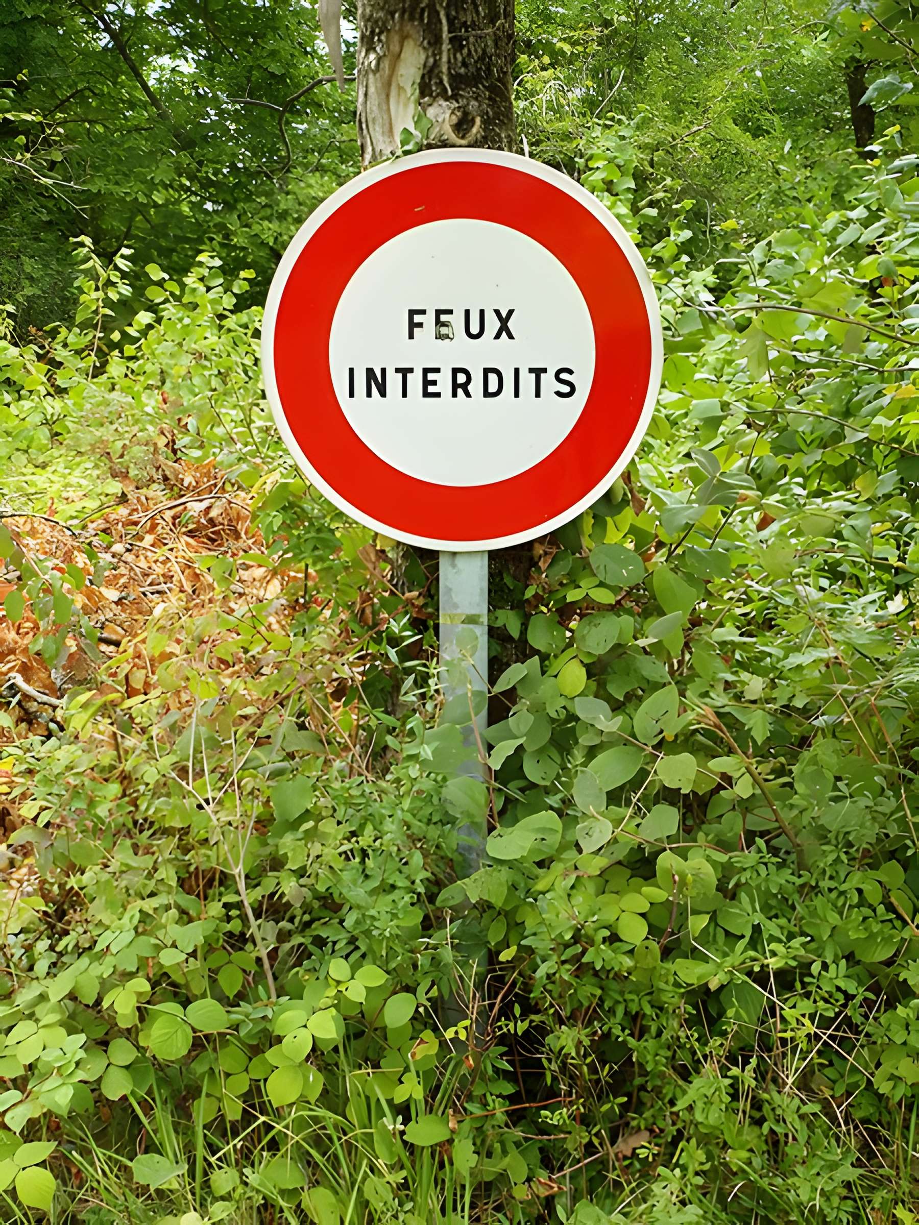 Chapelle Notre-Dame-de-la-Tête-Ronde de Menou