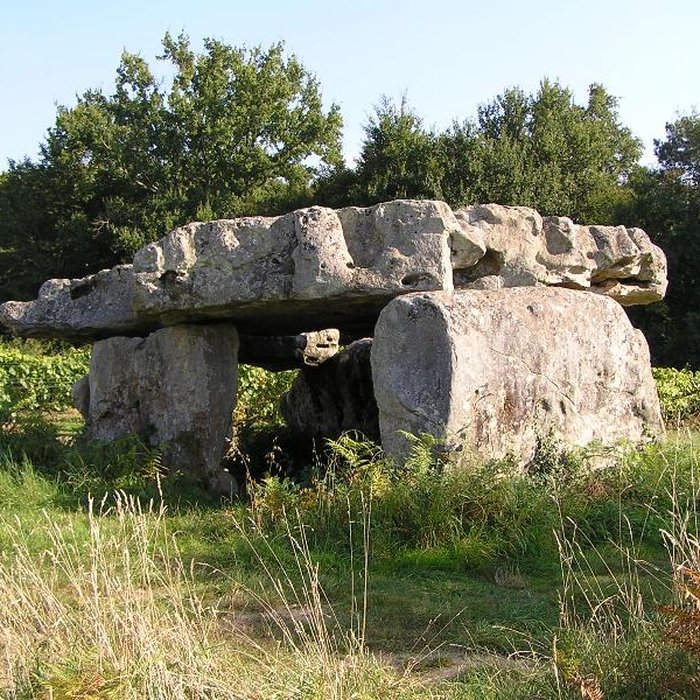 Photo de Dolmen de Garde-Épée à Saint-Brice