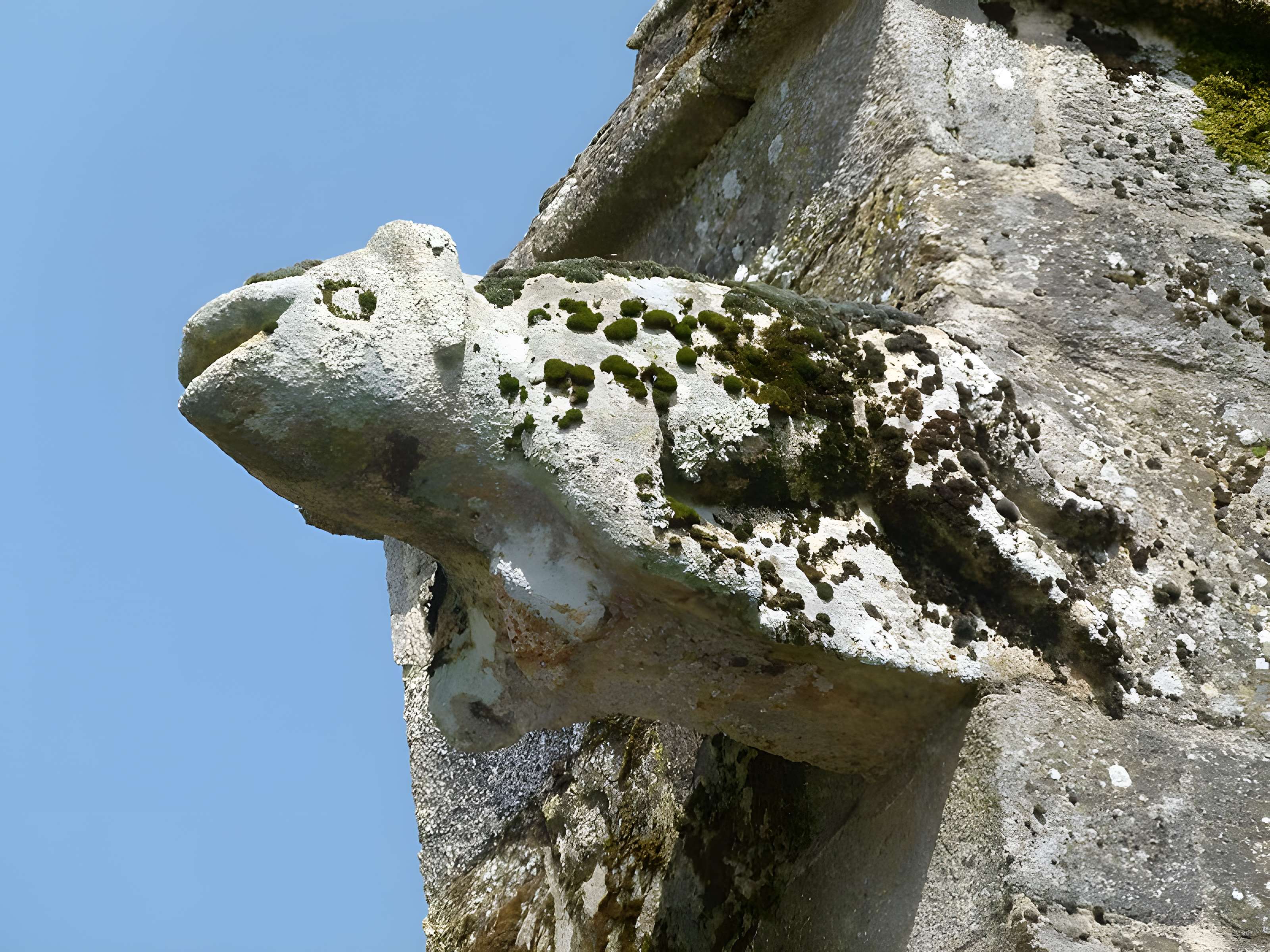 Chapelle Notre-Dame-des-Fleurs de Languidic