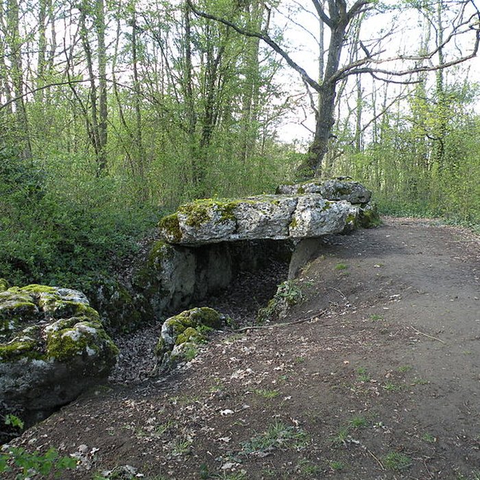 Photo de Dolmen de la Pierre-aux-Fées à Villers-Saint-Sépulcre