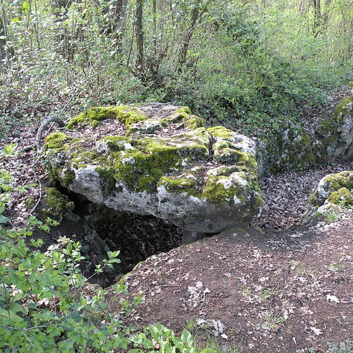 Photo de Dolmen de la Pierre-aux-Fées à Villers-Saint-Sépulcre