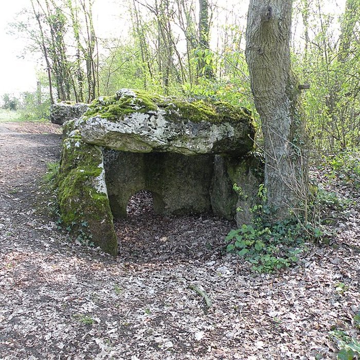 Photo de Dolmen de la Pierre-aux-Fées à Villers-Saint-Sépulcre