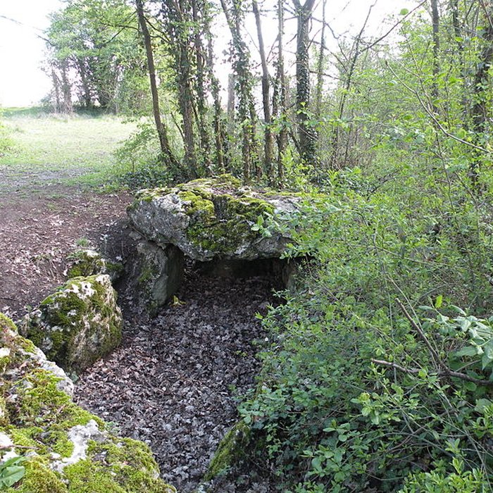 Photo de Dolmen de la Pierre-aux-Fées à Villers-Saint-Sépulcre