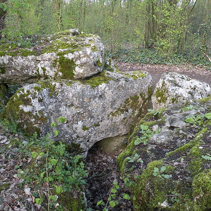 Photo de Dolmen de la Pierre-aux-Fées à Villers-Saint-Sépulcre