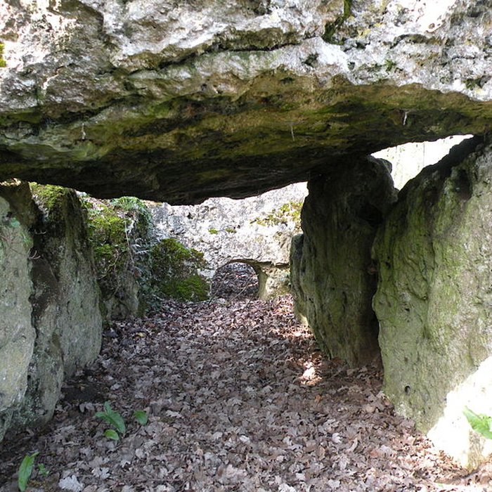 Photo de Dolmen de la Pierre-aux-Fées à Villers-Saint-Sépulcre