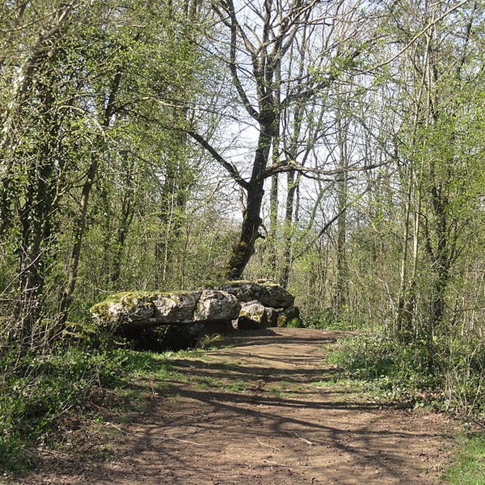Photo de Dolmen de la Pierre-aux-Fées à Villers-Saint-Sépulcre
