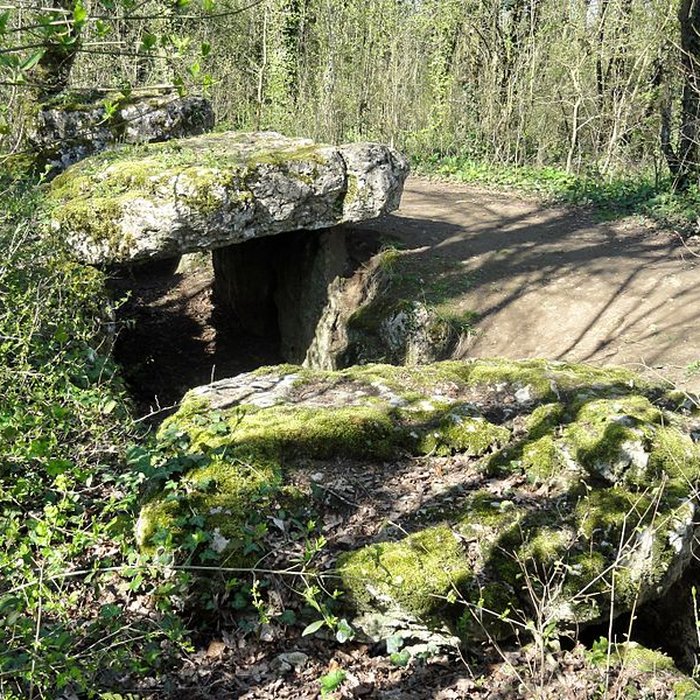 Photo de Dolmen de la Pierre-aux-Fées à Villers-Saint-Sépulcre