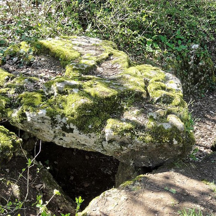 Photo de Dolmen de la Pierre-aux-Fées à Villers-Saint-Sépulcre