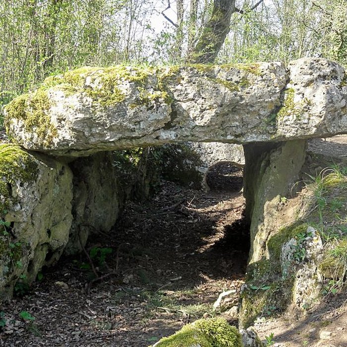 Photo de Dolmen de la Pierre-aux-Fées à Villers-Saint-Sépulcre