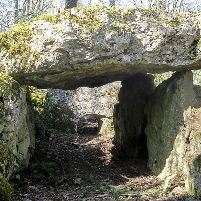 Photo de Dolmen de la Pierre-aux-Fées à Villers-Saint-Sépulcre