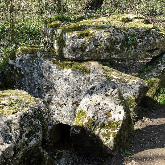 Photo de Dolmen de la Pierre-aux-Fées à Villers-Saint-Sépulcre