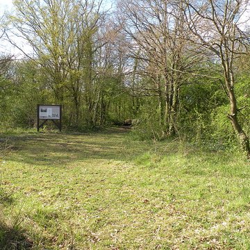 Dolmen de la Pierre-aux-Fées à Villers-Saint-Sépulcre