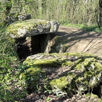 Dolmen de la Pierre-aux-Fées à Villers-Saint-Sépulcre