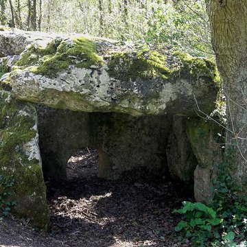 Dolmen de la Pierre-aux-Fées à Villers-Saint-Sépulcre