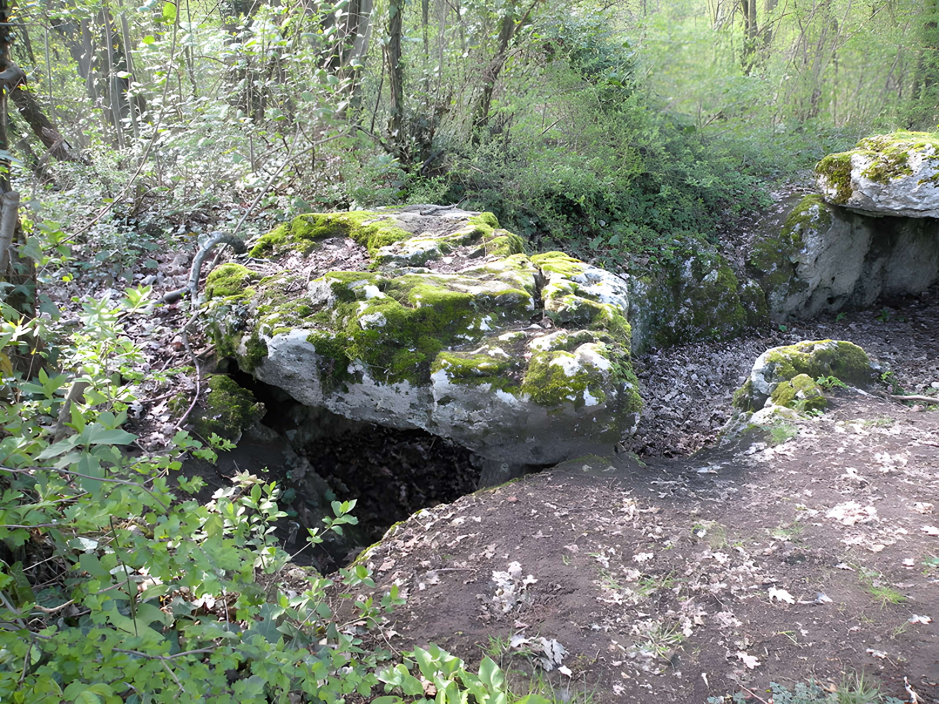 Dolmen de la Pierre-aux-Fées à Villers-Saint-Sépulcre