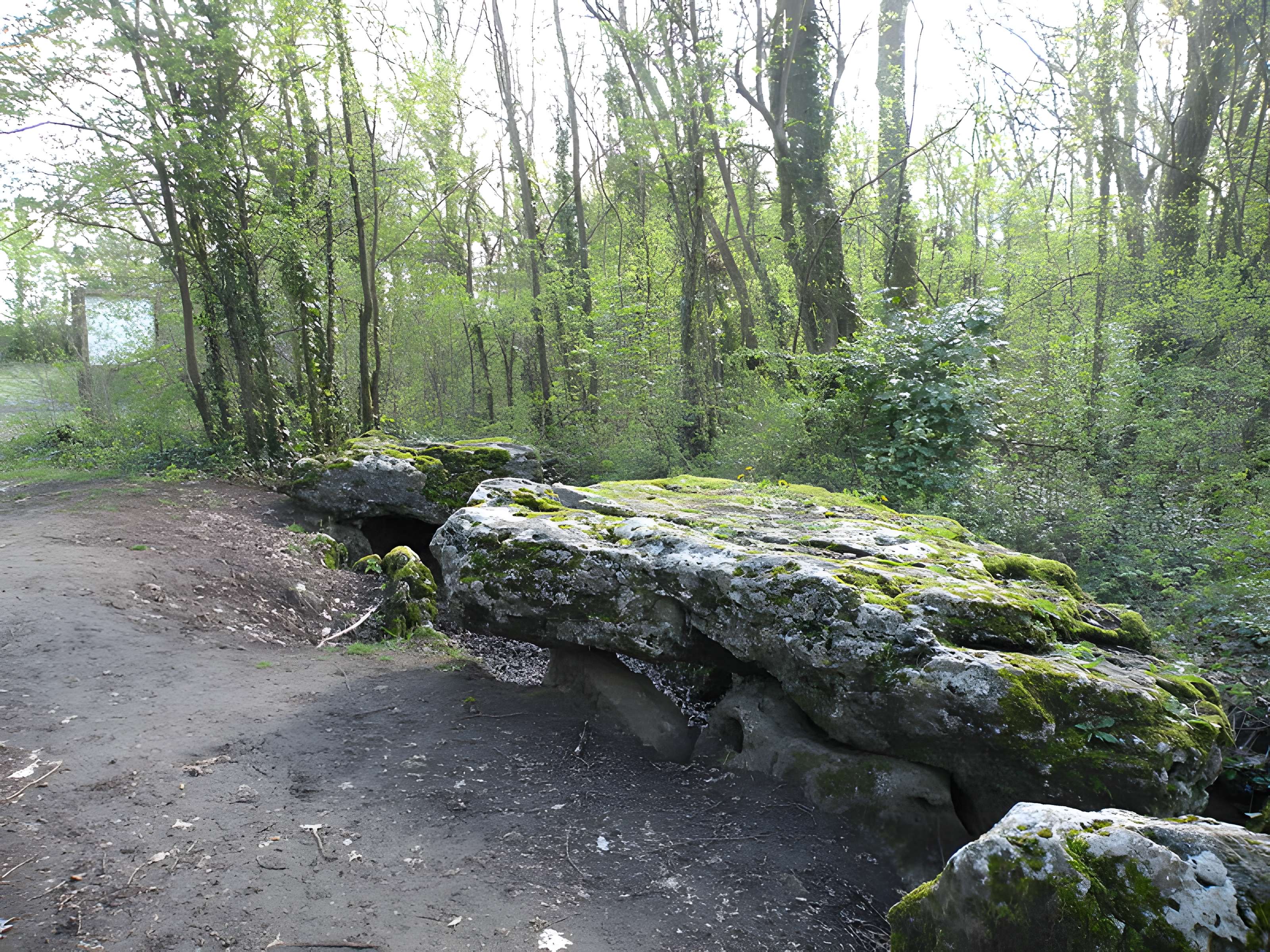 Dolmen de la Pierre-aux-Fées à Villers-Saint-Sépulcre
